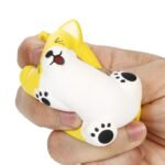 Squishy Bär