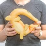 Riesiges Dinosaurier Squishy