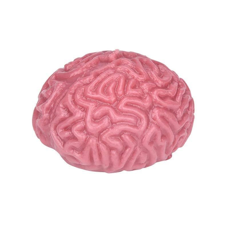 Squishy Gehirn Squishy Gehirn