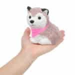 Squishy Husky
