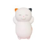 Squishy Kawaii Katze