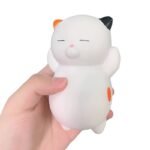 Squishy Kawaii Katze