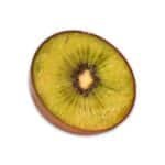 Squishy Kiwi