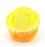 Squishy Muffin