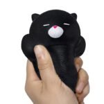 Squishy schlafende Katze