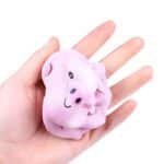 Squishy Schwein